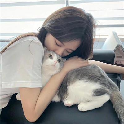 六个视线