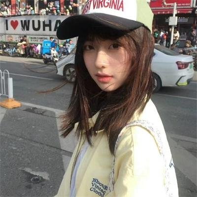 美国豚鼠